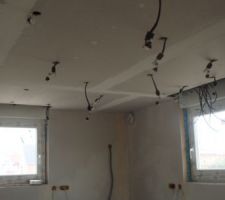 Implantation spots cuisine