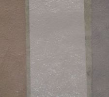 Choix peinture pour RDC