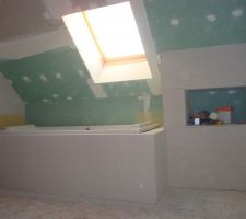 Fermeture coffrage baignoire et niche de la douche