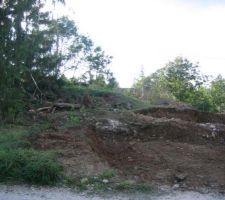 Un arbre en moins, et un grand trou !