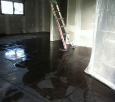 Pierres bleues et joint gris antracite finis !!