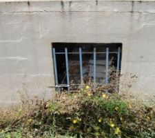 Grille donnant accès sous l'escalier extérieur