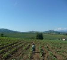 Un petit panorama de la vue que nous aurons de notre maison. 
Le terrain est orient&eacute; sud-est. La petite crotte au milieu c'est notre fiston ;)