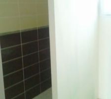 Carrelage et faïences SDB enfants !
Couleurs flashy de rigueur !