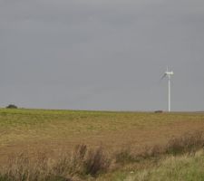 Vue sur les éoliennes