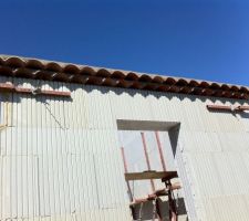 Les g&eacute;noises (bis)