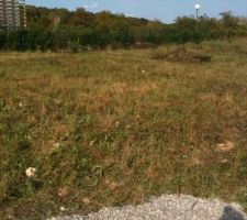 Le terrain défriché