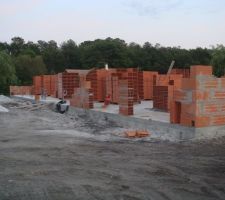 Début des murs