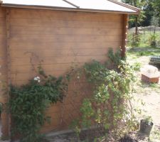 Le cabanon final et les plantations pour le cacher