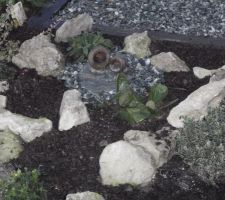 La fontaine