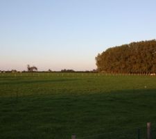 Notre environnement (derri&egrave;re la butte)