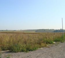 Avant de passer la d&eacute;broussailleuse, &ccedil;a ressemble plus &agrave; une jungle qu'autre chose lol