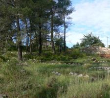 Terrain avant terrassement
