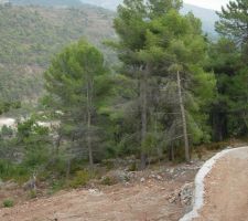 Terrain avant