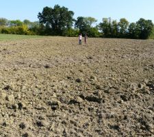 Vu du bout du terrain côté route communale vers l'Est.