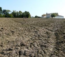 Toujours pareil, autre vue du bout du terrain, côté route communale.