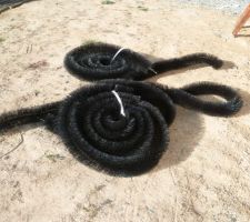 Un joli hérisson de goutière