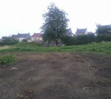 Vue d'ensemble du terrain