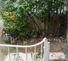 Le jardinet