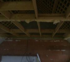 Démontage du plafond car charpente 13 cm trop basse (plancher du chauffage au sol), MERCI le charpentier...