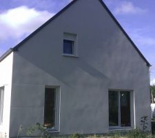 Crépis de la facade sud : l'HORREUR (solution en cours)
