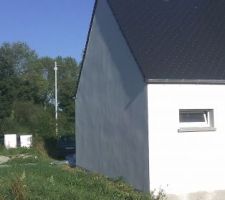 Crépis pignon nord : l'HORREUR aussi. (en cours)