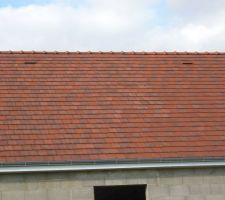 Toit cot&eacute; sud apr&eacute;s m&eacute;lange