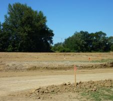 Notre terrain 1 mois plus tard au 25 juin