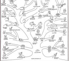 Un peu d'humour!
Par le génial dessinateur des Simpson Matt Groening, en 1985
