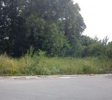 Voici le terrain quelques jours avant le d&eacute;but des travaux.