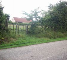 Terrain vu de la route