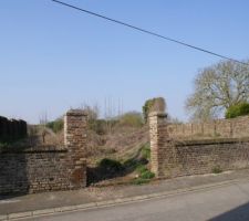 Le terrain vue de la rue.

Vive le lierre