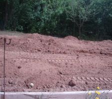 Terrain en cours