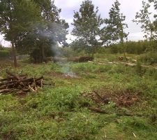 Le terrain pendant le nettoyage