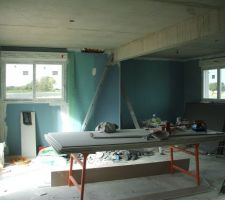 Séjour et salon.