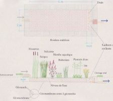 Vue en coupe 2° bac phytoépuration