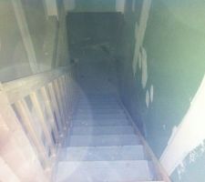 Escalier donnant sur le sous sol complet
