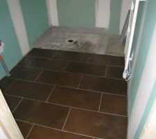 Carreaux 30x60 SDB