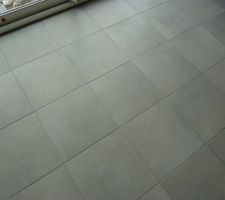 Carrelage rdc/escalier novoceram karisma eclipse
