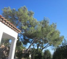 Ciel bleu de la mi-octobre, cette chance !