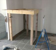 Alors j'explique un escalier sur mesure 4000 euros sans les gardes corps :(

un escalier que je fais moi même 700 euros :)

alors s'est parti je fais le palier du 2/4 tournant