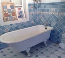 Bleu charron
Couleur carrelage murs WC