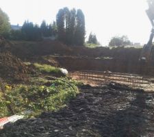 Premiers coups de pelle !