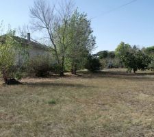 Photo Terrain (vue EST)