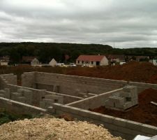 Vide sanitaire en cours