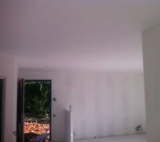 Peinture plafond
