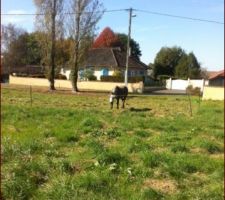 Aujourd hui le compteur de chantier a &eacute;t&eacute; pos&eacute; ( merci &agrave; mon constructeur et &agrave; EDF)... et surtout, j 'ai fait connaissance avec mon nouveau voisin!!