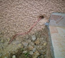 Fil de cuivre qui sort du mur côté terrasse !