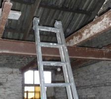 Le préau partie de droite (le fond) plancher enlever