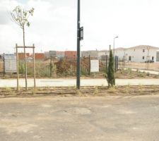 Les espaces verts autour de notre maison sont plantés.